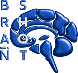 Brain-Shot Academy